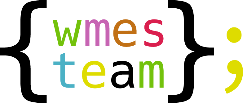 wmes.team_logo